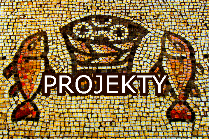 Projekty